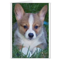 Corgikarte