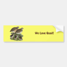 Coturnix-Wachtel-Familie Auto Sticker
