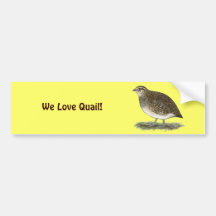 Coturnix-Wachtel-Henne Autosticker