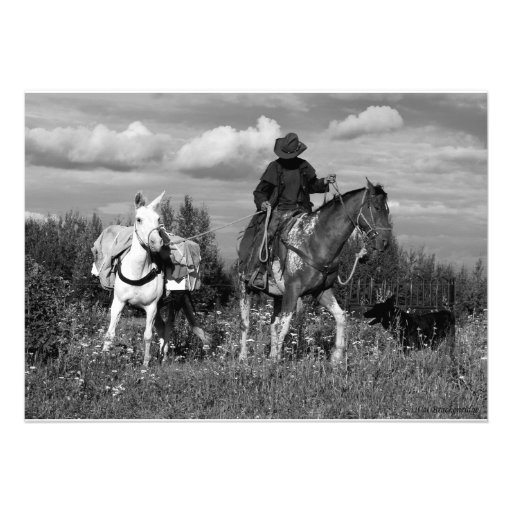 Cowboy-Pferde-u. Maultier-Einladungs-Karten