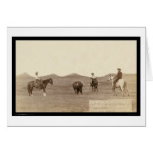 Cowboys, die einen Büffel Sd 1887 Roping sind Karten