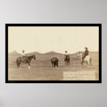Cowboys, die einen Büffel Sd 1887 Roping sind Poster