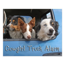 Cowgirl-LKW-Warnung 16x20 Photodruck