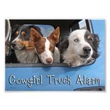 Cowgirl-LKW-Warnungs-12x18 Photodrucke