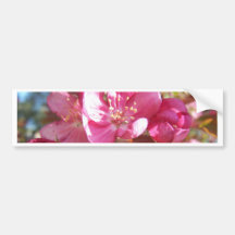 Crabapple Blüten Autoaufkleber