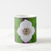 Crackerberries 2 Becher Teetassen