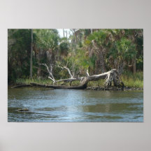 Crystal River Florida Posterdrucke