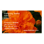 Customize Product Business Card Templates
