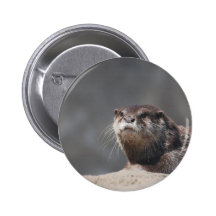 Customize Product Button