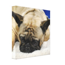 Customize Product Canvas Print