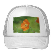 Customize Product Hats