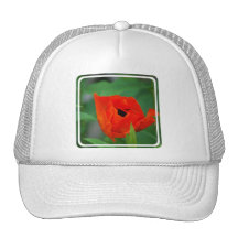 Customize Product Hats