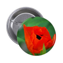 Customize Product Pin
