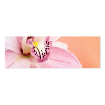 Cymbidium-Orchidee Visitenkarten Vorlagen