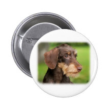Dackel 9Y426D-124 Anstecknadelbuttons