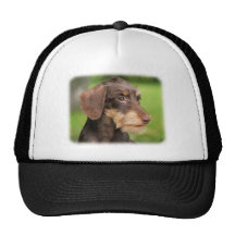 Dackel 9Y426D-124 Retrokult Cap