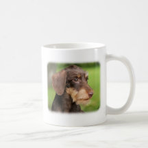 Dackel 9Y426D-124 Teetasse
