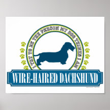 Dackel [Draht behaart] Posterdruck