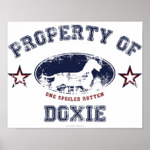 Dackel [Draht-haarig] Posterdrucke