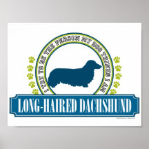 Dackel [langhaarig] plakat