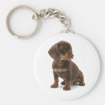 Dackel-Welpe Keychain Schlüsselband