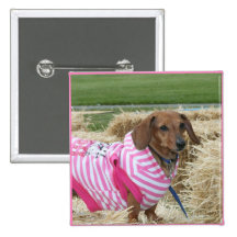 Dackelhund Anstecknadel