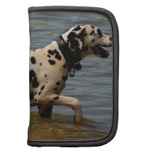 Dalmatinischer Hund Mappen