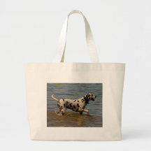 Dalmatinischer Hund Tragetasche