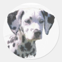 Dalmatinischer Welpe Stickers