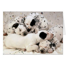 Dalmation_Puppies Grußkarte