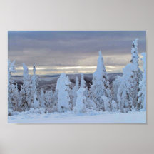 Dalton-Landstraßenschnee im frühen Winter Plakat