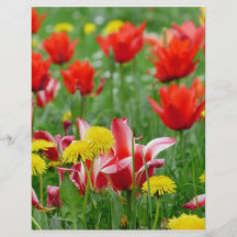 Dandelion and Tulip Meadow Personalized Flyer