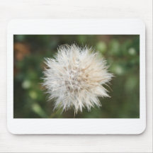 dandilion mousepads