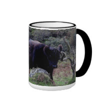 Dartmoor schwarze Galloway Kuh, die auf Baum verkr Tee Haferl