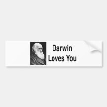 Darwin-Lieben Sie 2 Auto Aufkleber