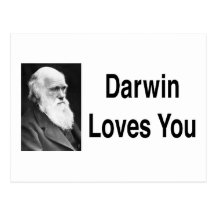 Darwin-Lieben Sie 2 Postkarten