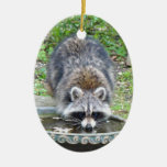 Das Bewässerungs-Loch - Waschbär Weihnachtsbaum Ornament