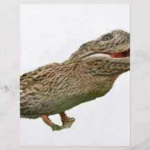 Das Crocoduck Flyer