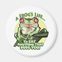 Das Leben eines Frosches - alles essen, das Sie ab Kühlschrankmagnet