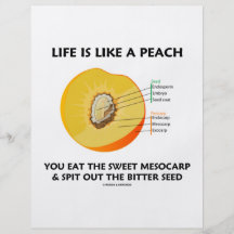 Das Leben ist wie ein Pfirsich essen süßes Mesokar Flyerdesign