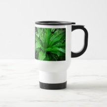 Das Nest-Farn des Vogels Kaffee Tasse