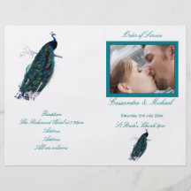 Das Pfau-Sammlungs-Hochzeits-Programm Personalisierte Flyer