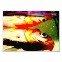 deadfish Kunst-Druck-12x18 " Kunst Foto