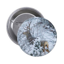 Deer in Snow Pins