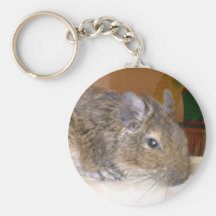 Degu, das Keychain sich entspannt Schlüsselanhänger
