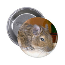 Degu entspannender Knopf Button