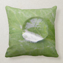 Dekokissen  Wassertropfen auf grünem Blatt