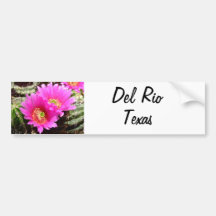 Del Rio Texas rosa Kaktus-Blume Andenken Autosticker