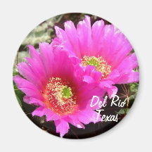 Del Rio Texas rosa Kaktus-Blume Andenken Kühlschrankmagnet