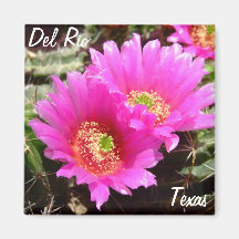 Del Rio Texas rosa Kaktus-Blume Andenken Magnete